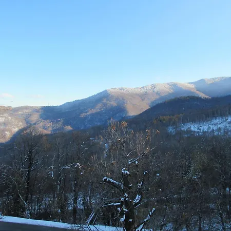 Il Bric Apartman Viola